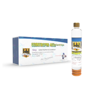 9d5aL6NY36ywEtoHy0gZ